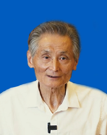 副会长